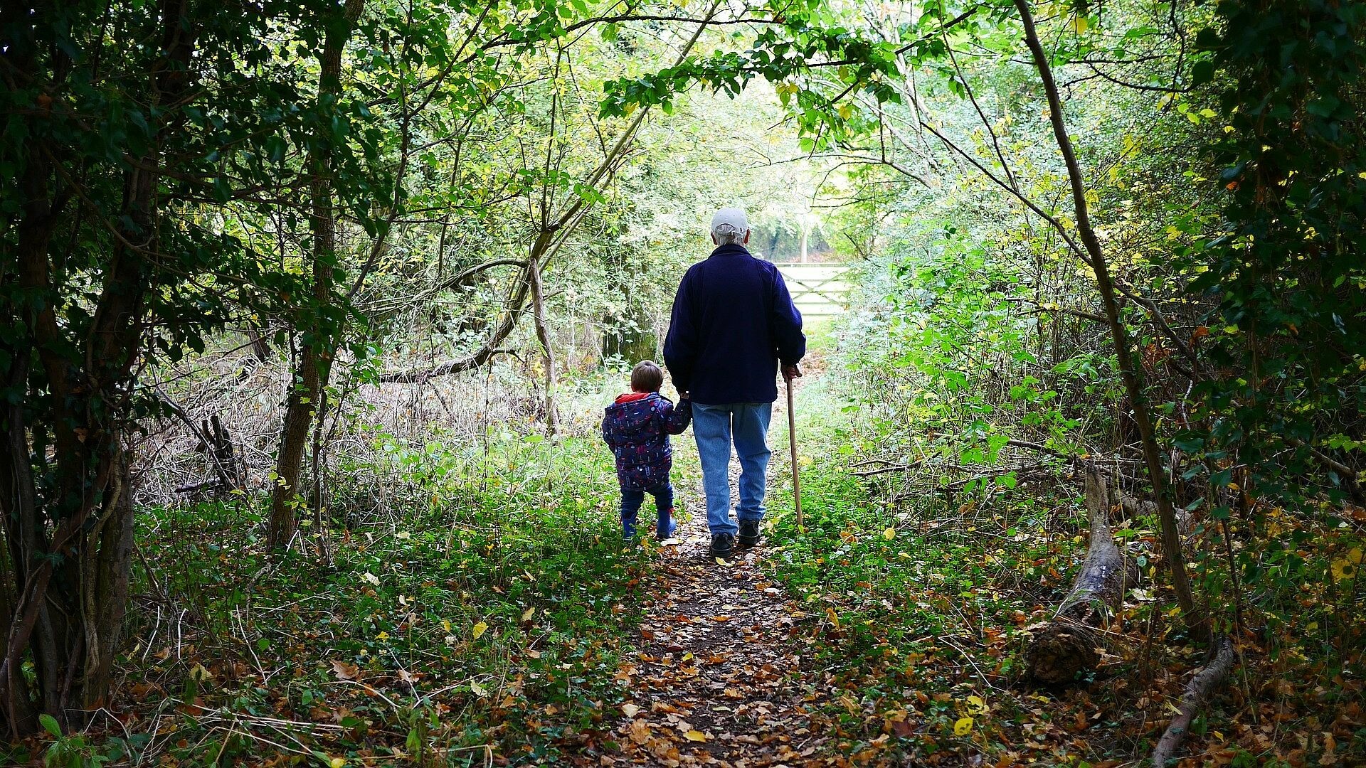 Ein älterer Mann mit Stock geht Hand in Hand mit einem Kind in einem Wald spazieren